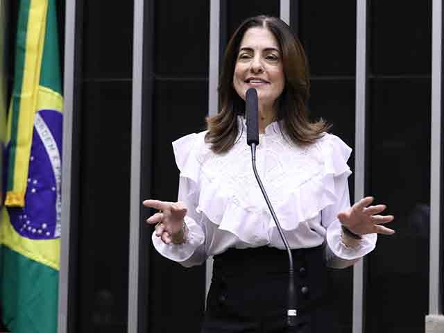 Câmara dos Deputados presta homenagem ao CONASEP por projeto de acolhimento a mulheres vítimas de violência