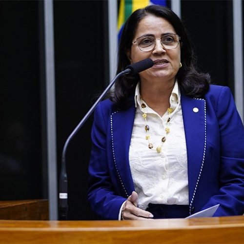 Reforma da Segurança Privada: Instituição da Lei Orgânica da Segurança Privada (LOSEP) e Criação do Agente de Segurança Privada (AGESP)