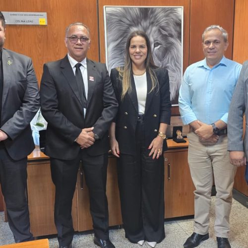CONASEP apresenta projeto social “Mulher AGESP” em reunião na vice-governadoria do DF<br>