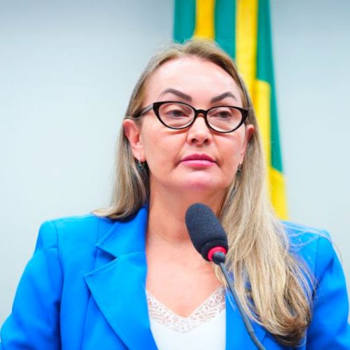 CINDRE recebe relatório favorável ao PL 2.478/2025, que reconhece o interesse coletivo das atividades do CONASEP e dos Bombeiros Civis