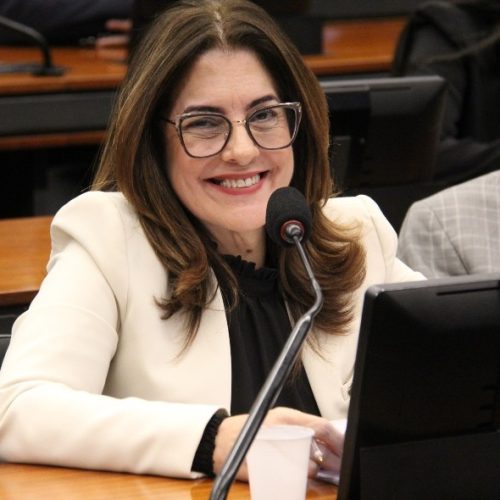 Deputada Federal Rogéria Santos propõe incentivos fiscais para modernização da segurança privada